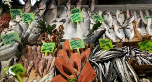 Balık Fiyatları Uçuyor