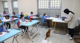 Bilgi Evi’nin En Minnoş Öğrencisi 'Kekik'