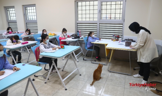 Bilgi Evi’nin En Minnoş Öğrencisi 'Kekik'