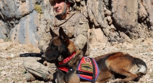  Hassas burun 'Lady' 25 Operasyona Katıldı