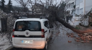 Muğla Bodrum'daki selin bilançosu ortaya çıktı: 130 ev ve iş yeri zarar gördü