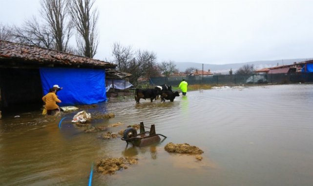 Muğla'da su taşkınında mahsur kalan hayvanlar kurtarıldı