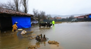 Muğla'da su taşkınında mahsur kalan hayvanlar kurtarıldı 
