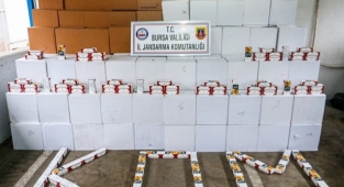 Bursa'da jandarma yüz binlerce kaçak makarona el koydu