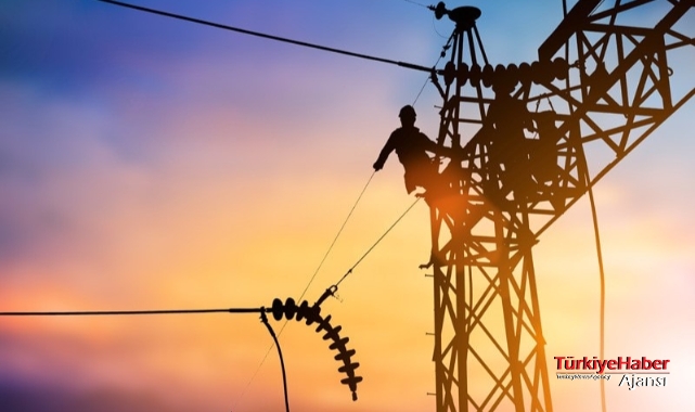 Elektrik Dağıtım Şirketleri Kime Ait?