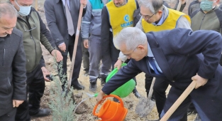 Türkiye-Kore dostluğu fidanlarla kökleşti
