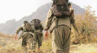 Terör örgütünde çözülme sürüyor... Üç ayda 21 terörist iknayla teslim oldu