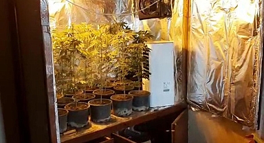 Gardırobunu kenevir bahçesine dönüştürmüş