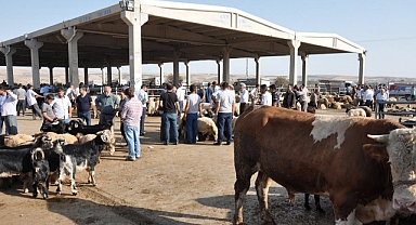 Büyükbaş, Küçükbaş Kurbanlıklar Ne Kadar?