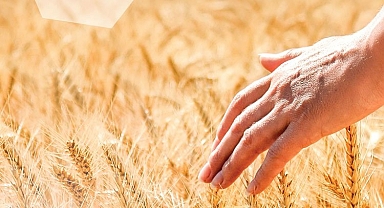 İstanbul Halk Ekmek'ten çiftçiye destek