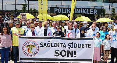 Bursalı hekimlerden öfke:
