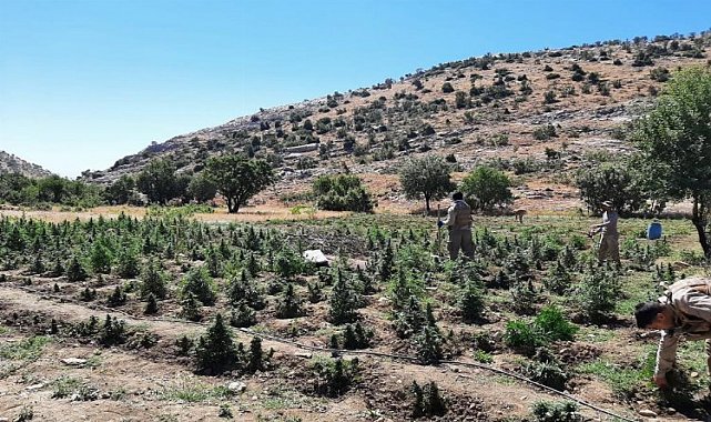 Diyarbakır 'Abluka' Altına Alındı