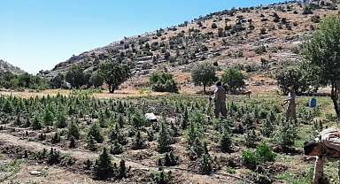 Diyarbakır 'Abluka' Altına Alındı