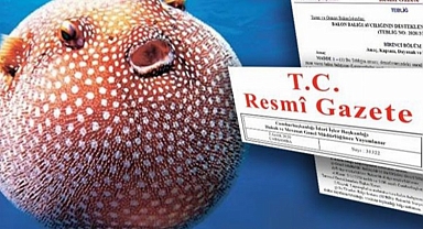 Balon balığına sağlanacak destek belli oldu