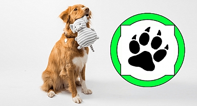 Dedeman'dan 'Hayvan Dostu' Uygulama