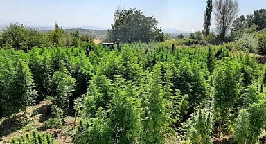 İçişleri Diyarbakır'ı kenevir 'Abluka'sına aldı