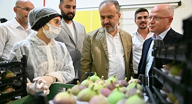 İncir üreticisine can suyu