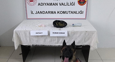 Jandarmanın göz bebeği Yufka'dan zehir tacirlere süpriz