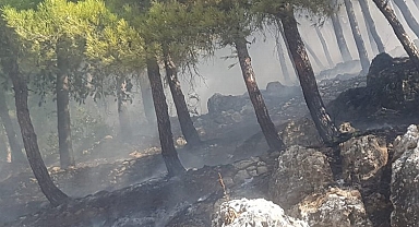 Hatay Antakya'da'daki yangın büyümeden söndürüldü