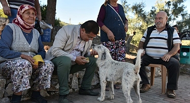 Muğla Milas'ta kentsel-kırsal ayrımı yok