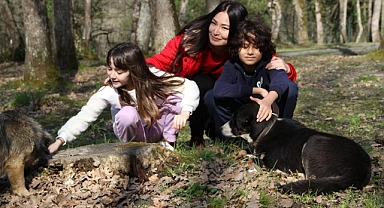 “SHAME” Gerilim Korku Film Sinemalarda Gösterime Girdi