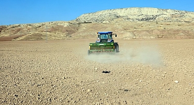 Çankırı’da buğday tohumu ekimi başladı