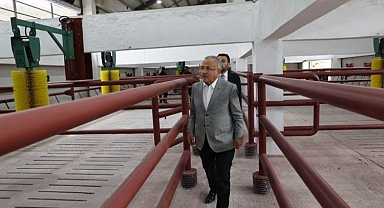 Karadeniz'i hayvancılıkta şahlandıracak