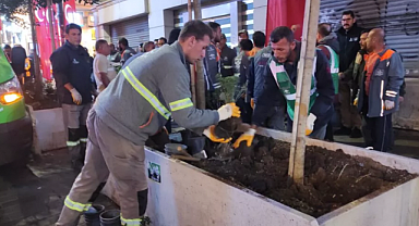 Valilik Harekete Geçti! Beton Saksılar Kaldırılıyor 