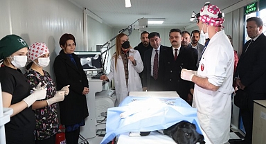 Dokuz Eylül'den can dostlara şefkat eli