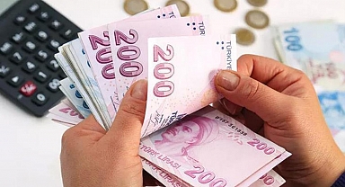 Fahiş Aidat İçin, Çevre Bakanlığı Özel Birim Kurdu