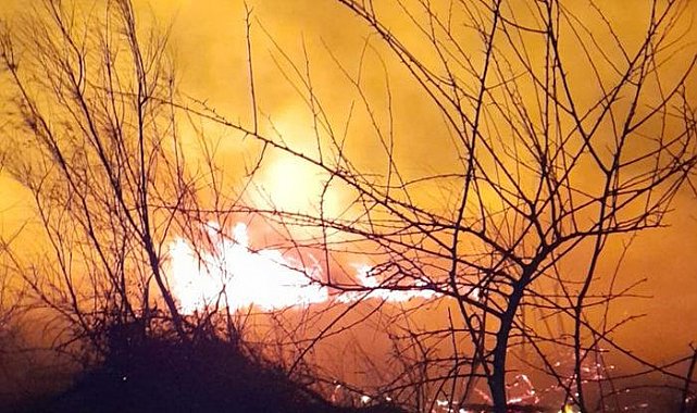 Kastabala Kuş Cenneti'nde çıkan yangın 3 saatte kontrol altına alındı!