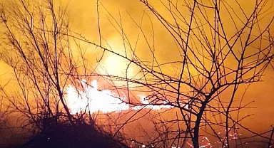 Kastabala Kuş Cenneti'nde çıkan yangın 3 saatte kontrol altına alındı!