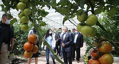 Kayseri'de 13.9 milyon atık bertaraf oldu