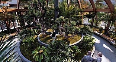 Sakarya aromatik bitkide 'üs' oluyor