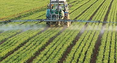 Tarım devi Ege Bölgesi 2022’de de zirvede