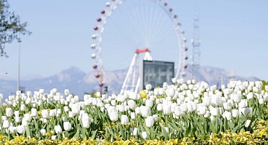 Üreterek 4 Yılda 61 Milyon Liralık Tasarruf Etti