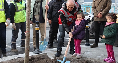 Yeni Yıla Manolya ve Ginkgo Ağacı Dikerek Girdiler