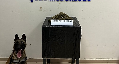 Bingöl’de Uyuşturucu Madde Operasyonu 1 Tutuklama