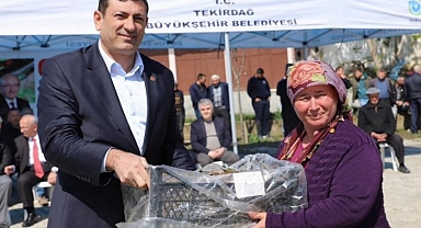 Üreticilere çilek fidesi desteği