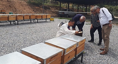 Manisa'da ana arılar teslime hazır