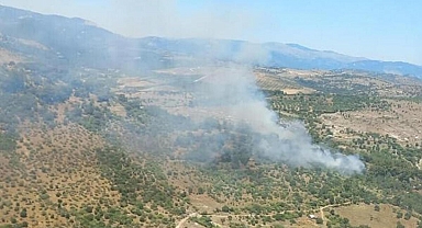 Bergama'da orman yangını: Kontrol altında