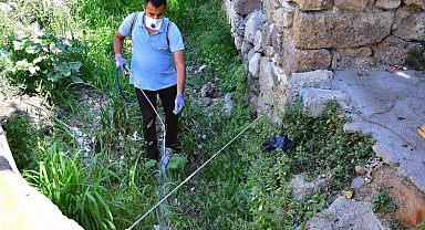 İzmir’de sivrisineklere karşı etkin mücadele