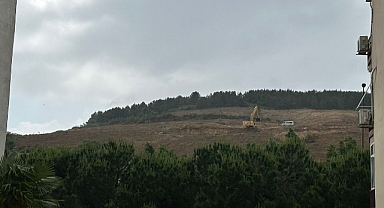 TOKİ'den Maltepe Kışlası’nda Ağaç Katliamı