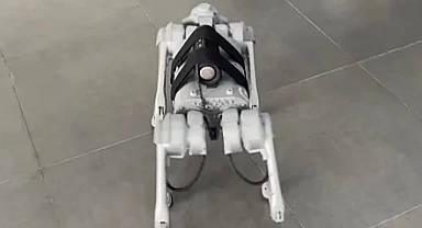 Robot Köpekler Asya Oyunları Gönüllüleri Arasına Katıldı