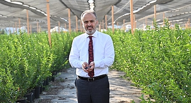 Bursa’nın yükselen değeri; tarım