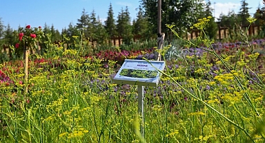 128 tür bitkisiyle 'Koku' yayıyor