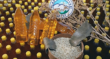 Kayseri Talas Belediyesi'nden aspir ekimi