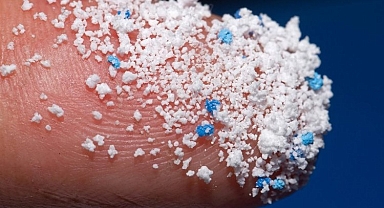 Mikroplastikler her yerde yaşamı tehdit ediyor!