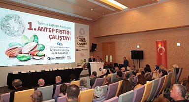 Antalya Antep fıstığına dönüyor