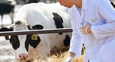 Tarımsal girdide veteriner harcamaları ilk sırada